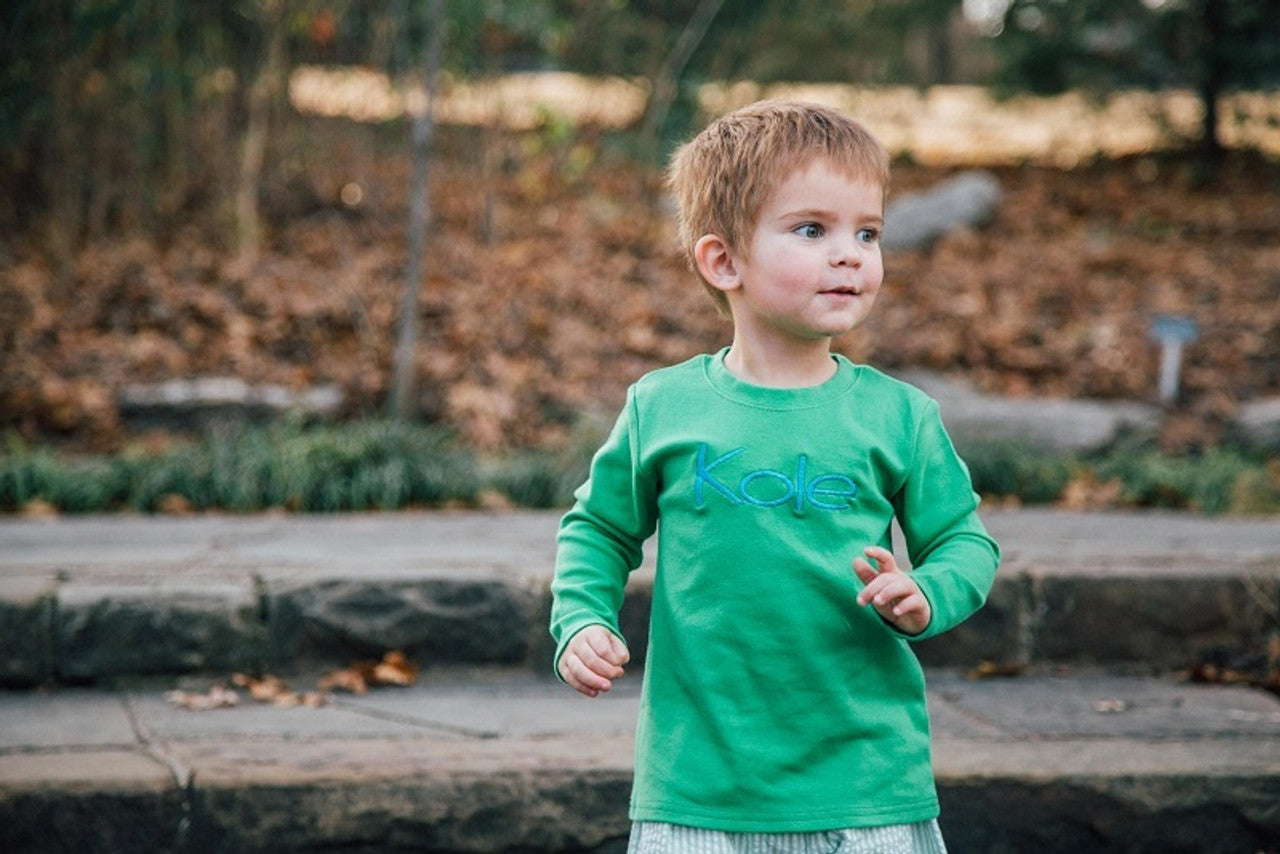 Long Sleeve Shirt (Fall Colors)